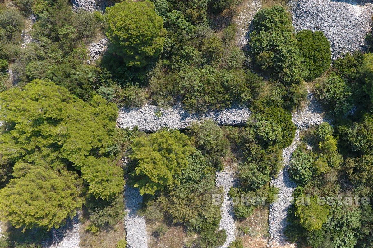 Terreno edificabile di forma regolare