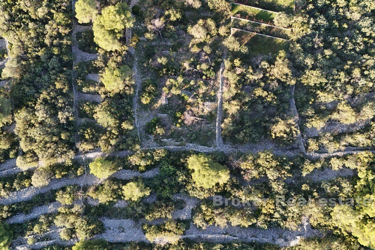 Строительный участок правильной формы