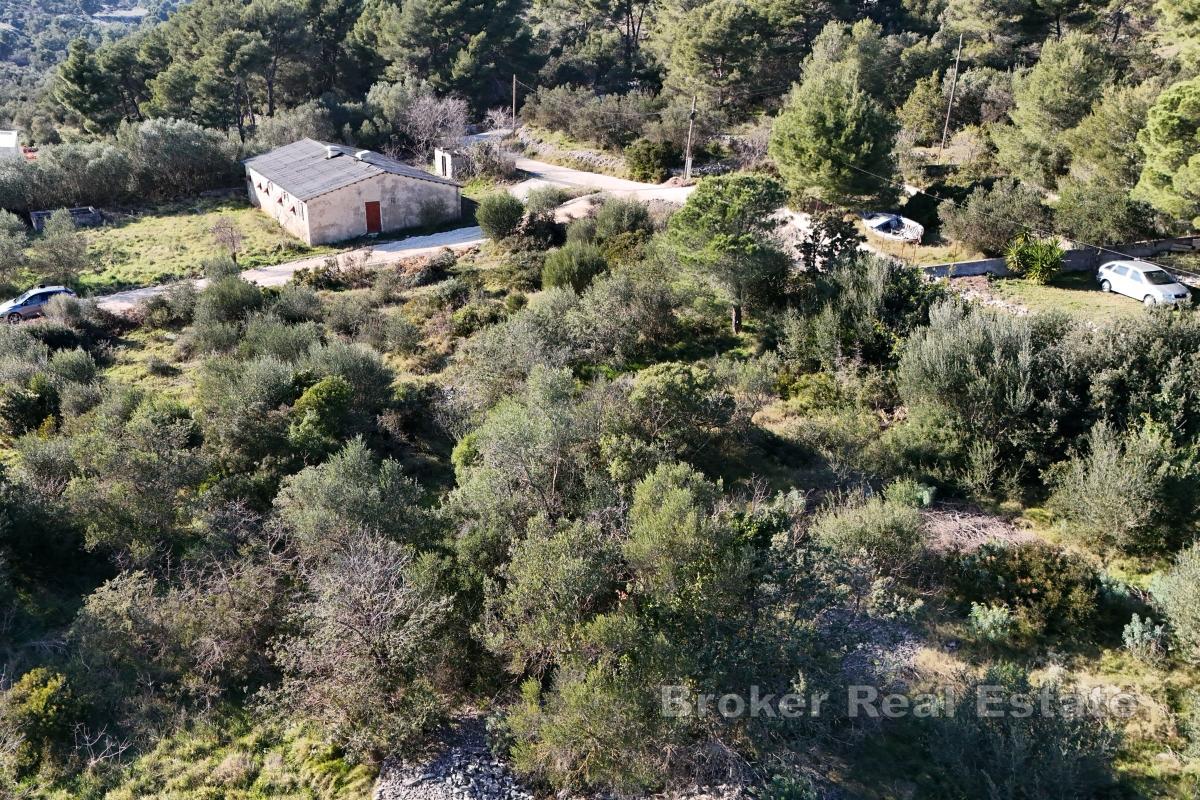 Terreno edificabile di forma regolare