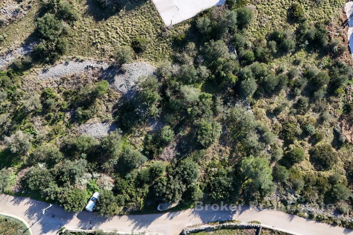 Terreno edificabile di forma regolare