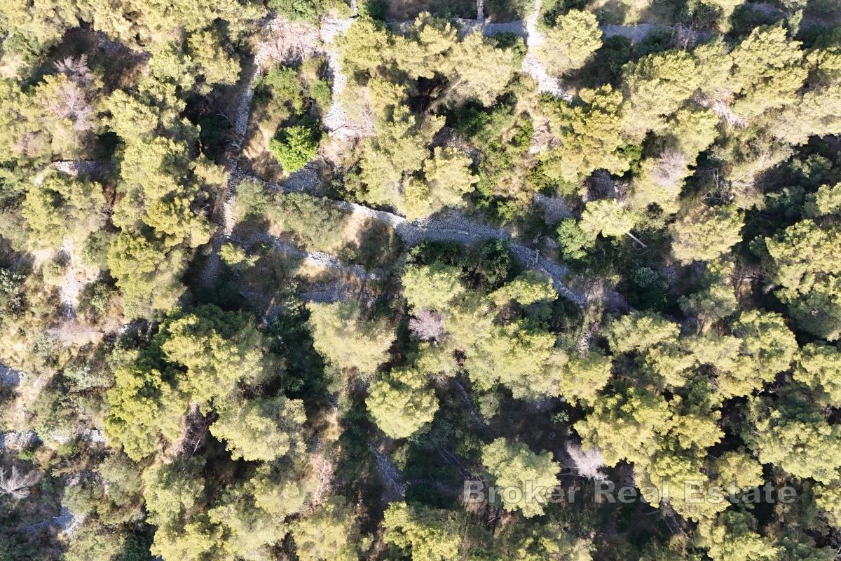 Rymlig tomt nära havet