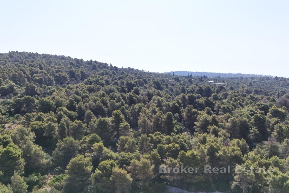 Rymlig tomt nära havet