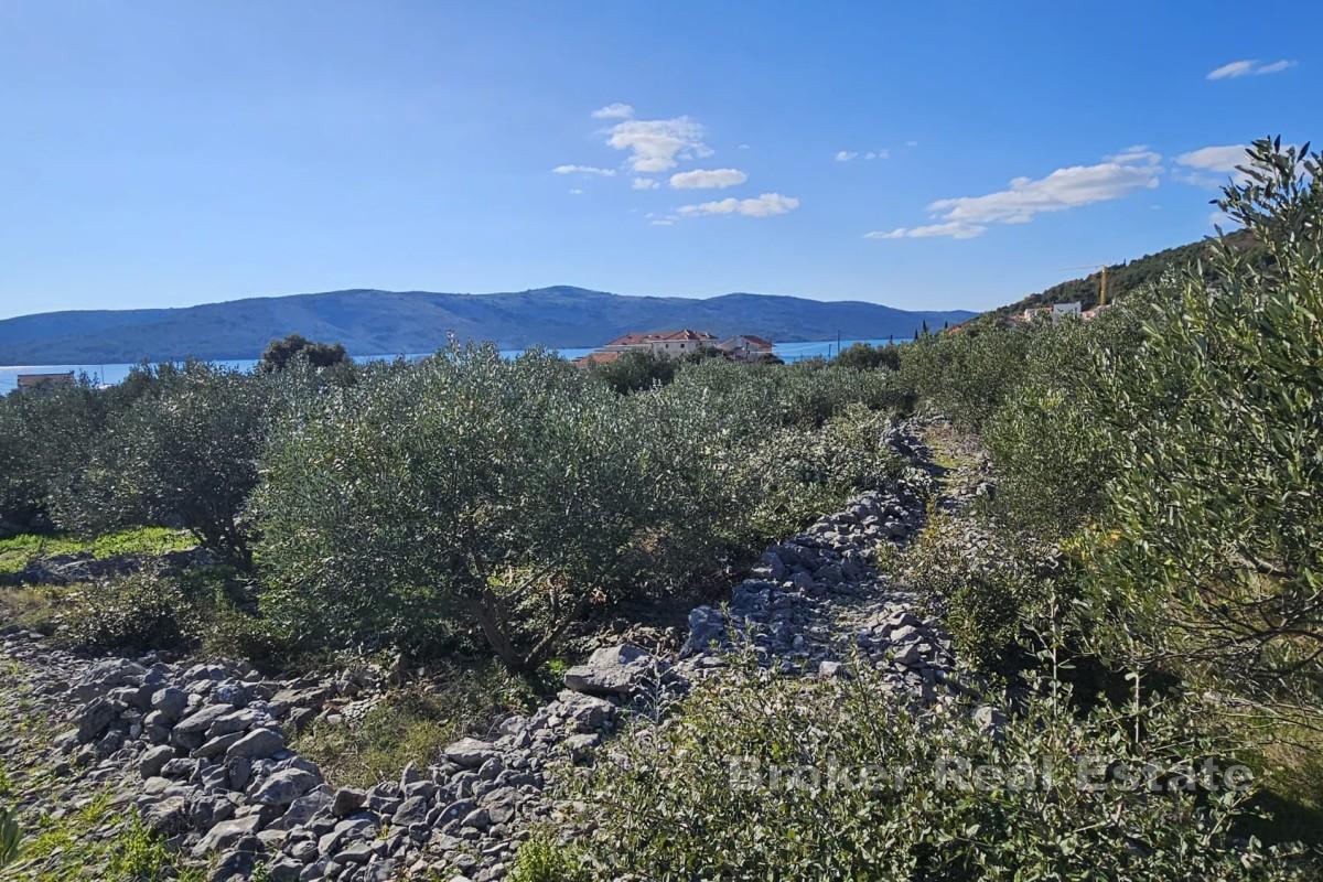 Terreno edificabile nelle immediate vicinanze del mare