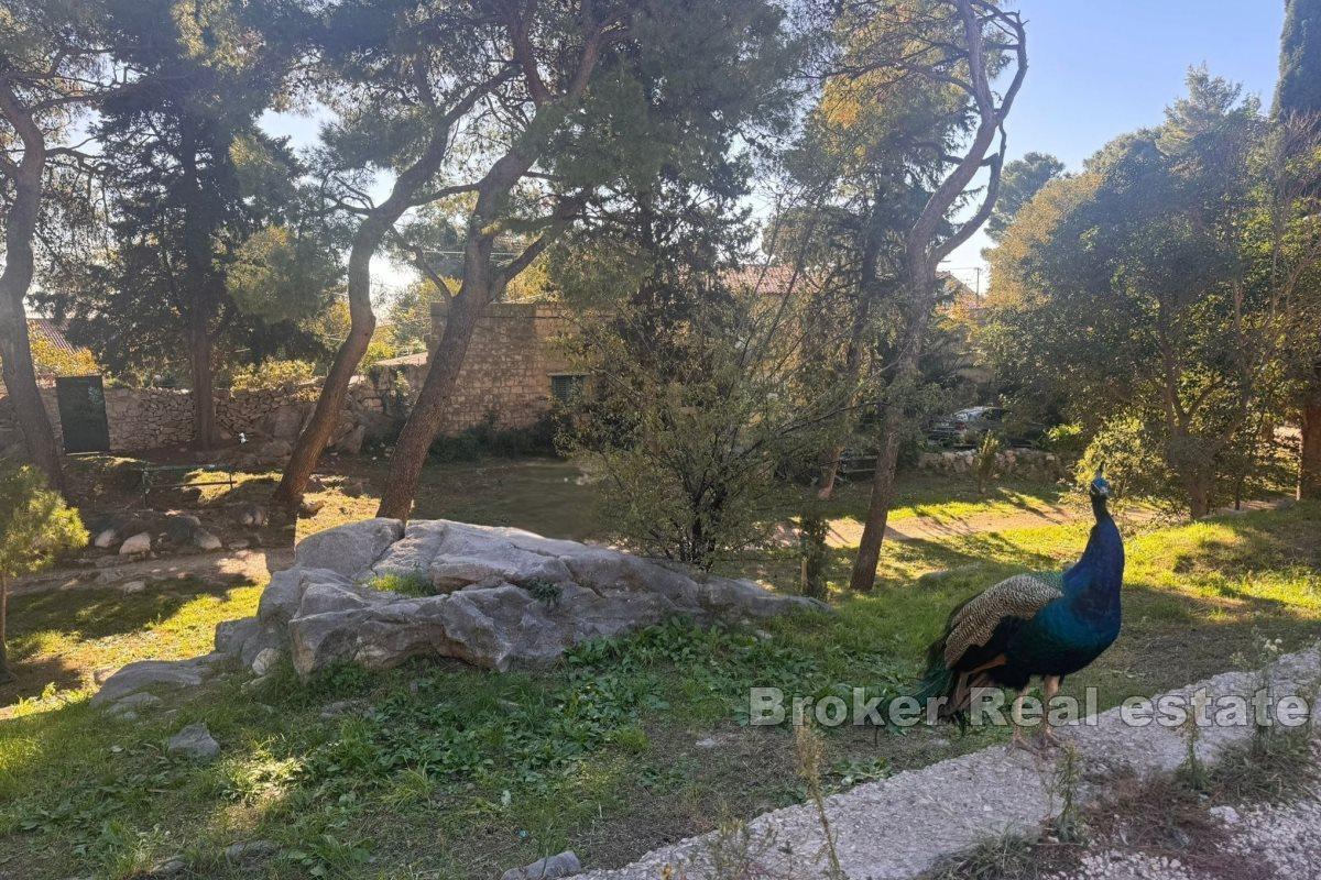 Large four-bedroom apartment in a great location