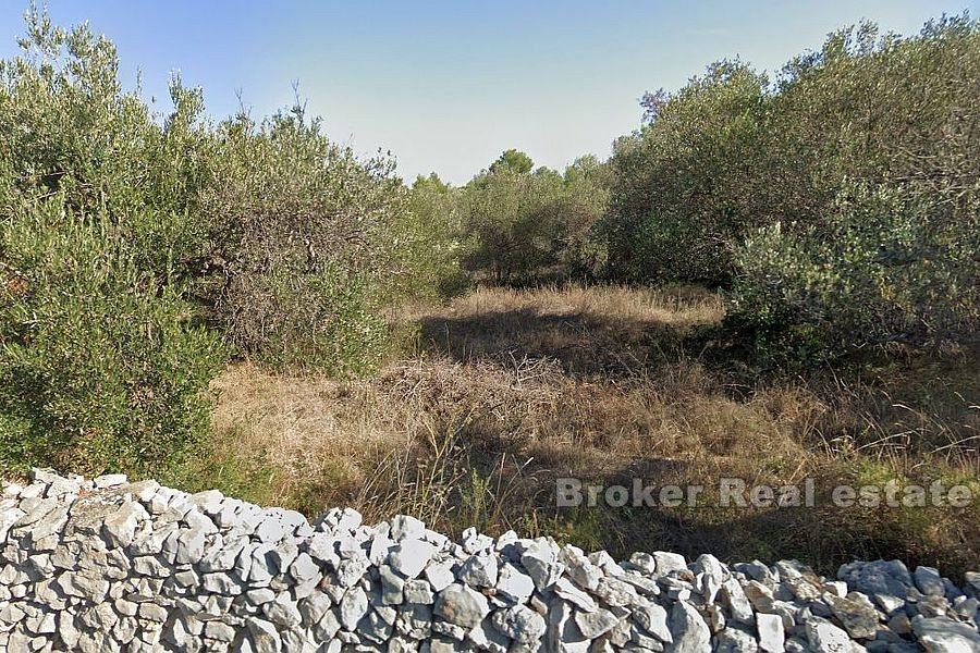 Isola di Brac - Ottimo terreno edificabile