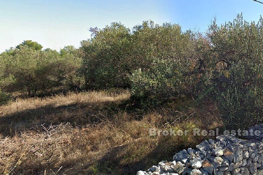 Île de Brac - Excellent terrain à bâtir