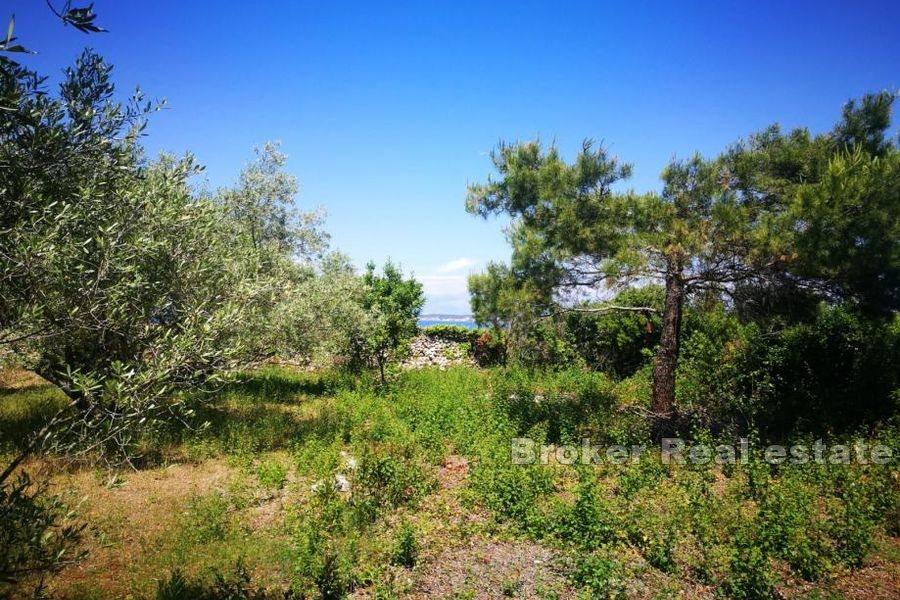 Øya Ugljan -Byggetomt med førsteklasses beliggenhet rett ved kysten