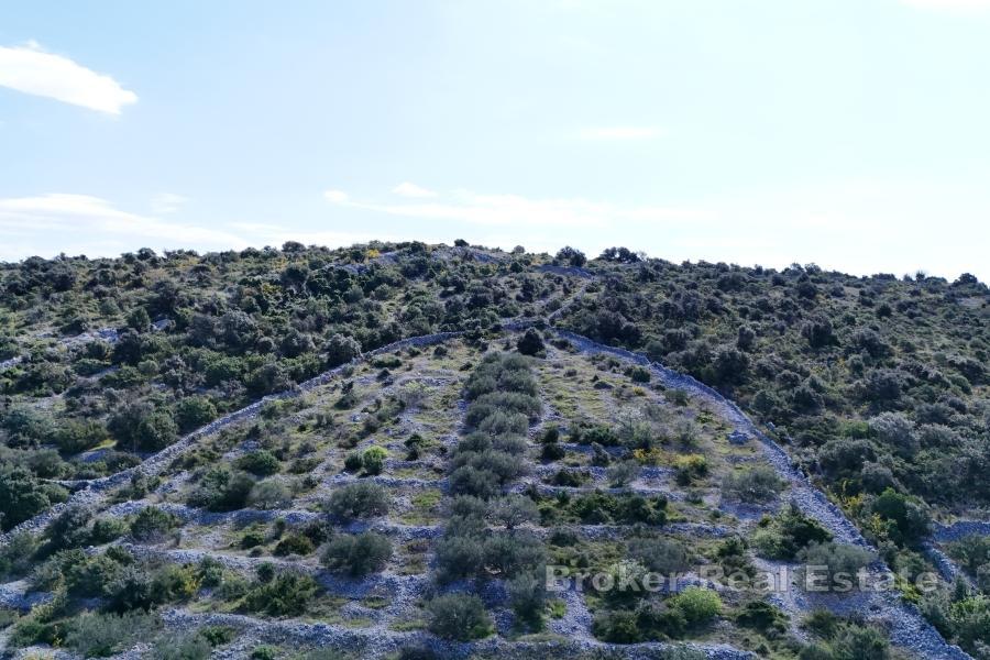 Działka budowlana z panoramicznym widokiem na morze