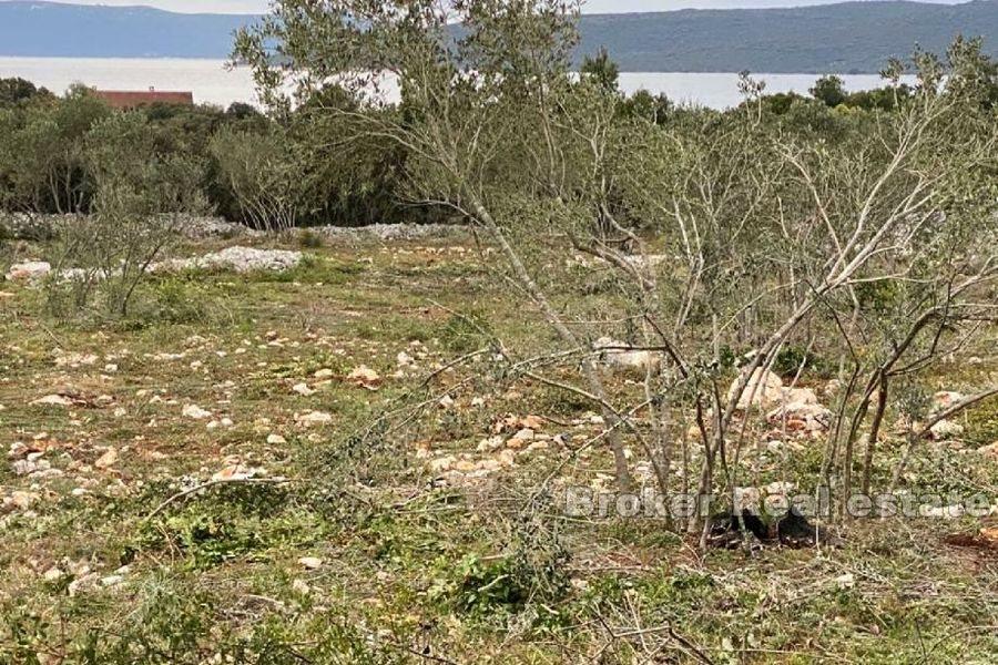 Ugljan - Stavebný pozemok s výhľadom na more