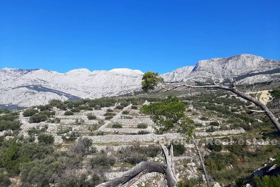 Riwiera Makarska - Działka budowlana z otwartym widokiem na morze