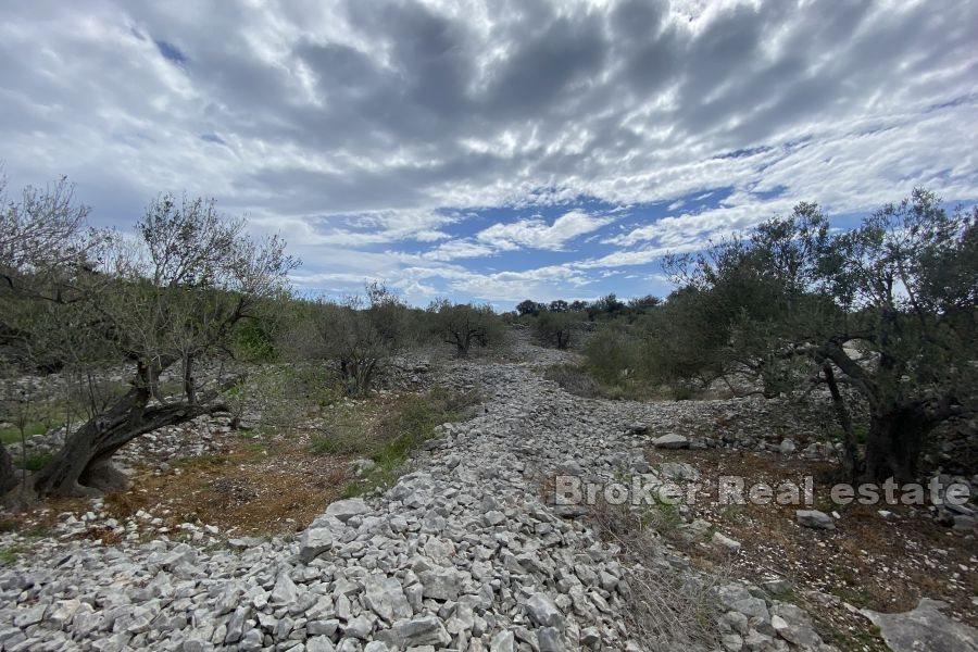 Rogoznica -Byggnadsmark nära havet