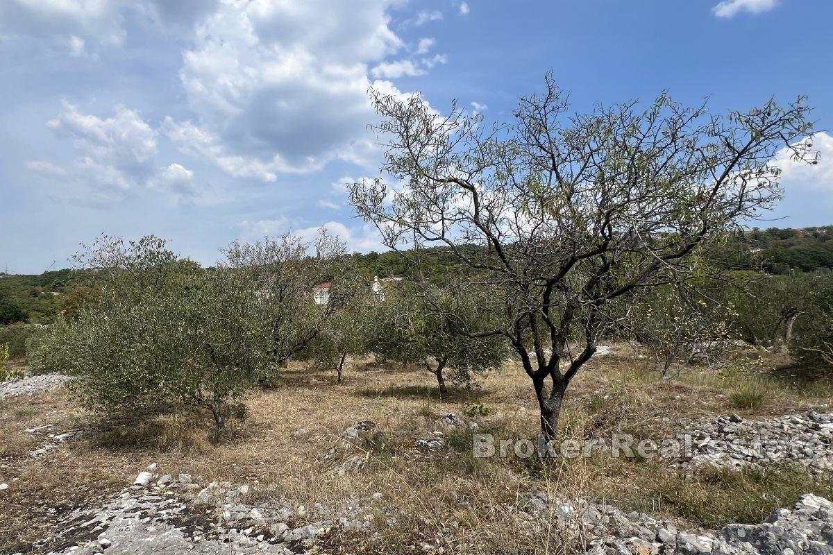 Beautiful building plot with the possibility of installment payments