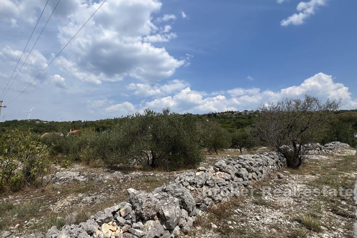 Beautiful building plot with the possibility of installment payments