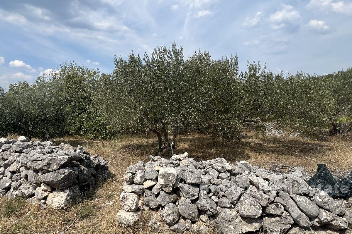 Beautiful building plot with the possibility of installment payments