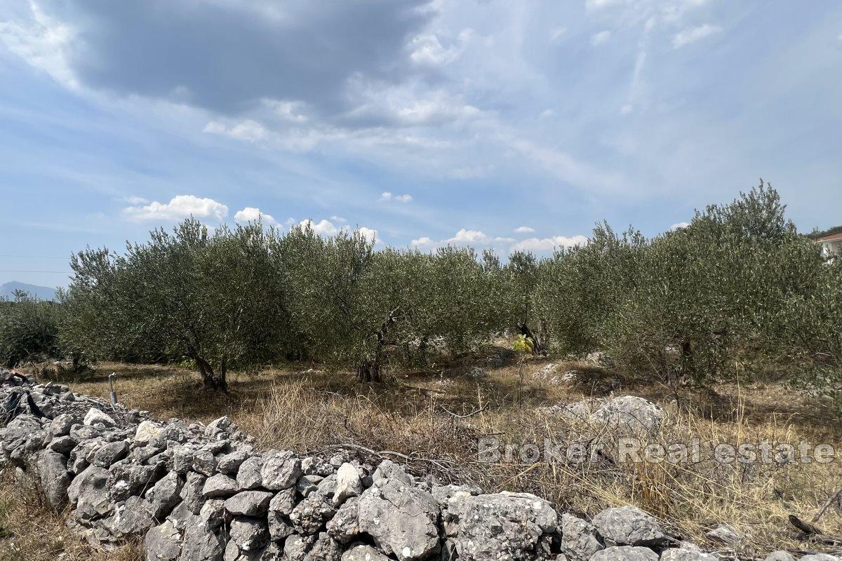 Beautiful building plot with the possibility of installment payments