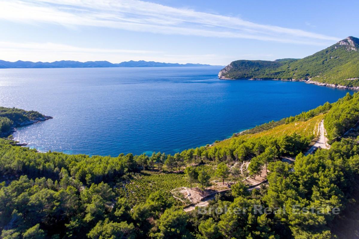 Mediteransko imanje na obali okruženo prirodom