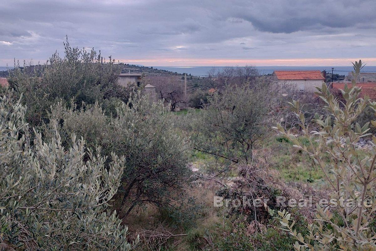 Ampio terreno con vista mare
