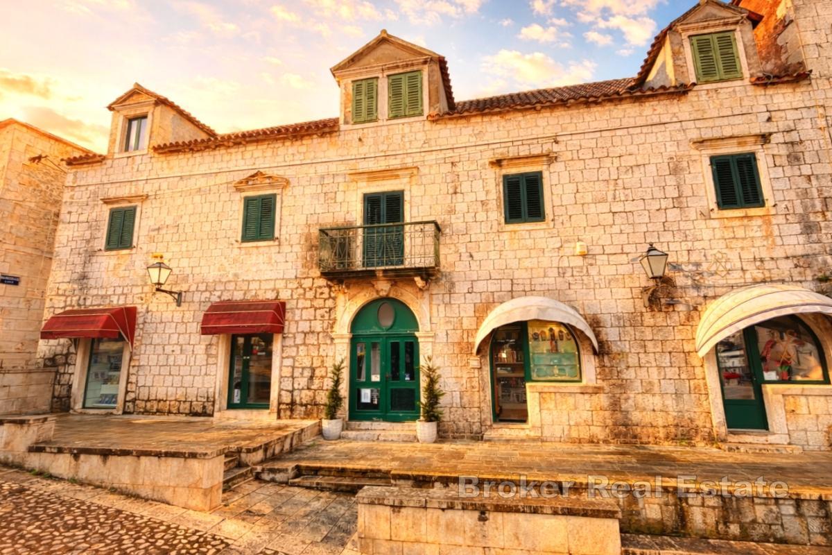 Unique stone property with 4 commercial units, family house and apartments