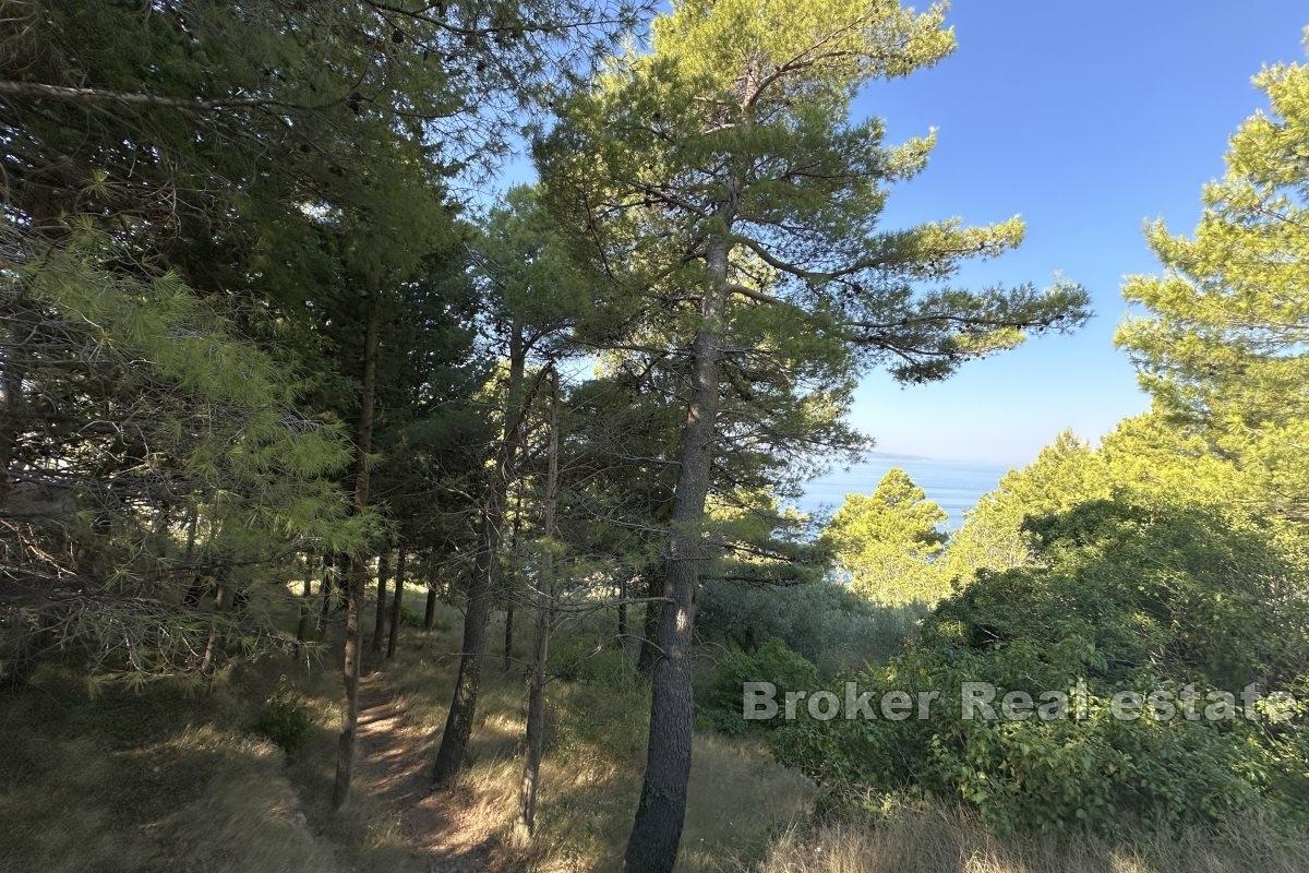 Terreno edificabile in posizione desiderabile