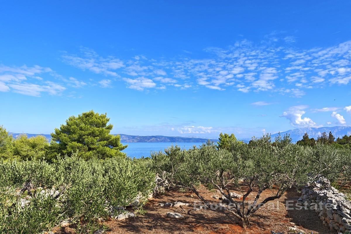 Jordbruksland første rad mot havet - øya Hvar, nær Jelsa