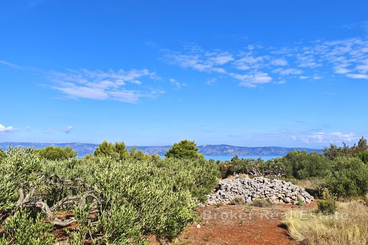 Jordbruksland første rad mot havet - øya Hvar, nær Jelsa