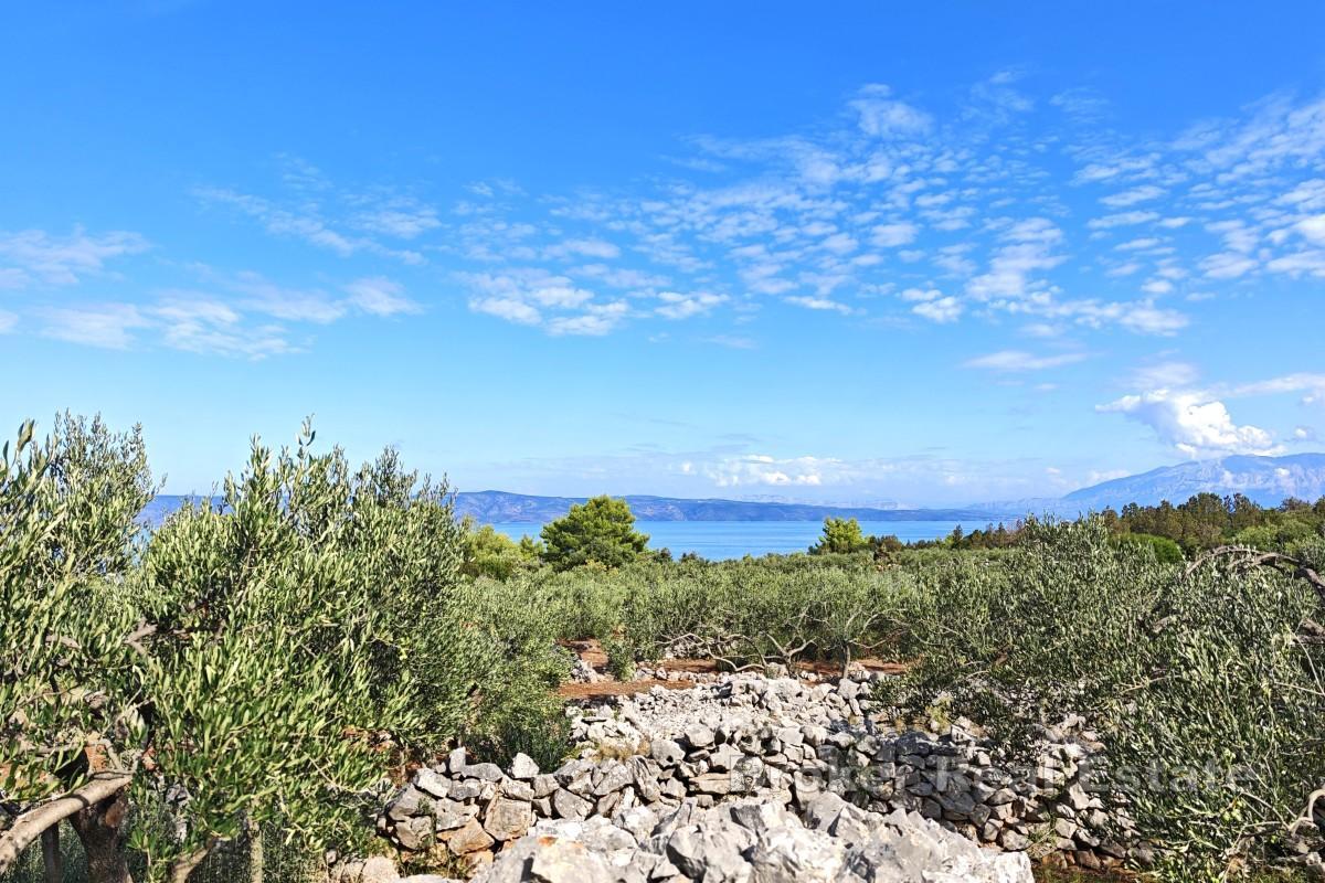 Jordbruksland første rad mot havet - øya Hvar, nær Jelsa