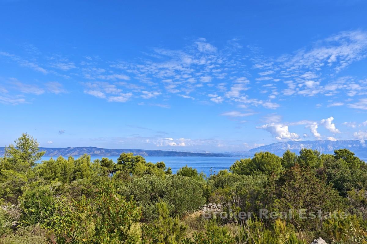 Jordbruksland første rad mot havet - øya Hvar, nær Jelsa