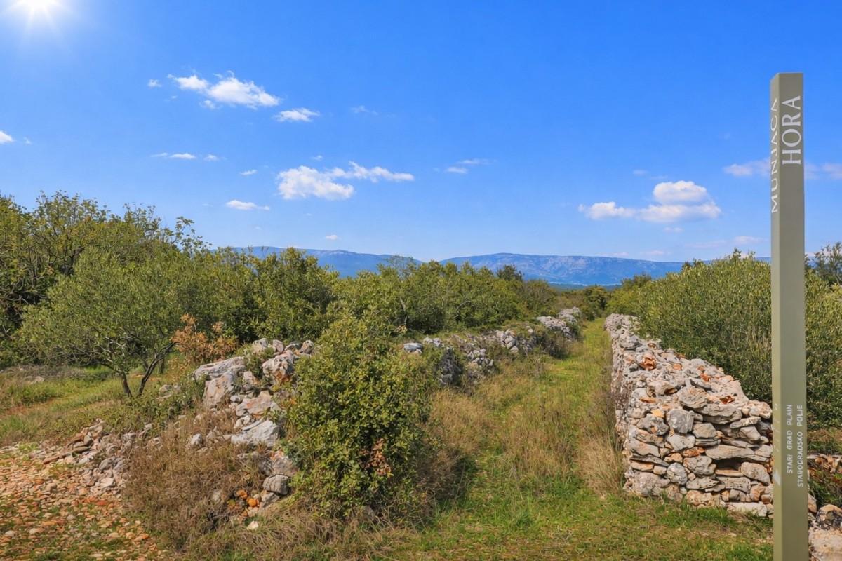 001-2051-58-Hvar-agricultural-land-in-a-unesco-zone-for-sale
