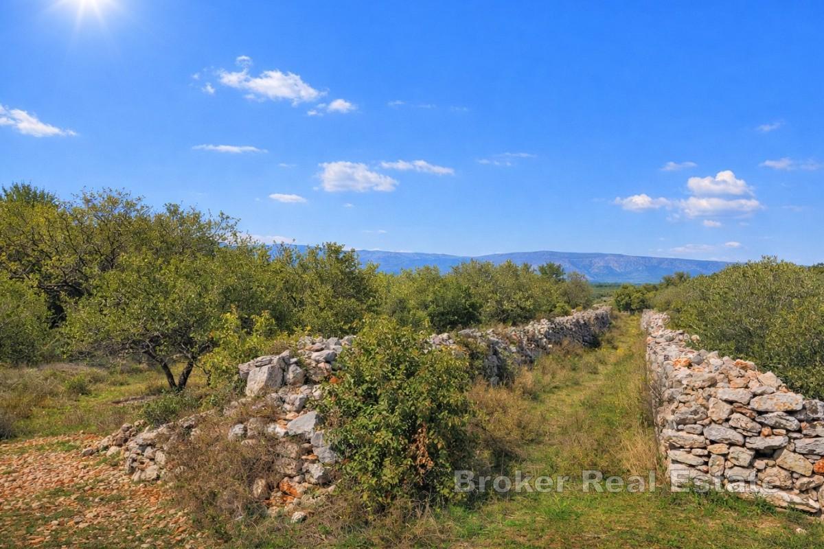 Poljoprivredna parcela s ucrtanom kućicom
