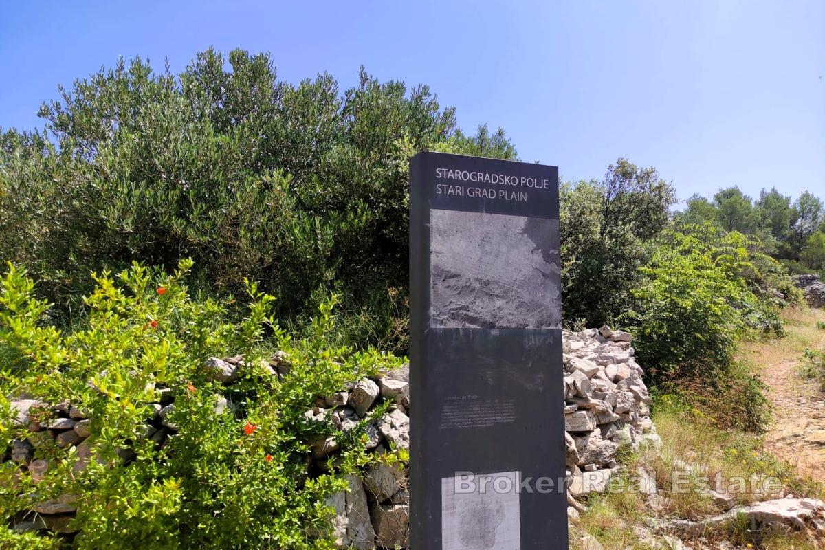 Zemědělská půda ve Starigradském poli - dědictví UNESCO