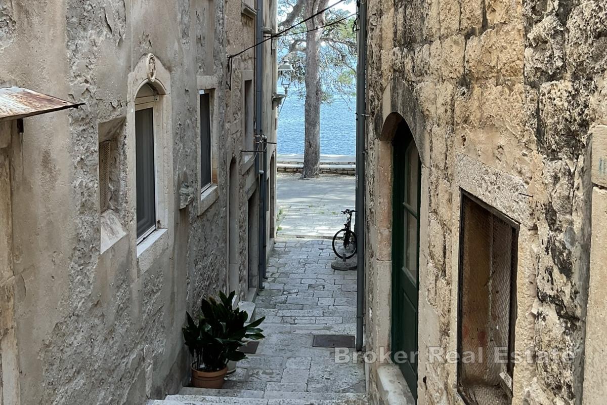 Oszałamiający kamienny wąż na wyspie Korčula