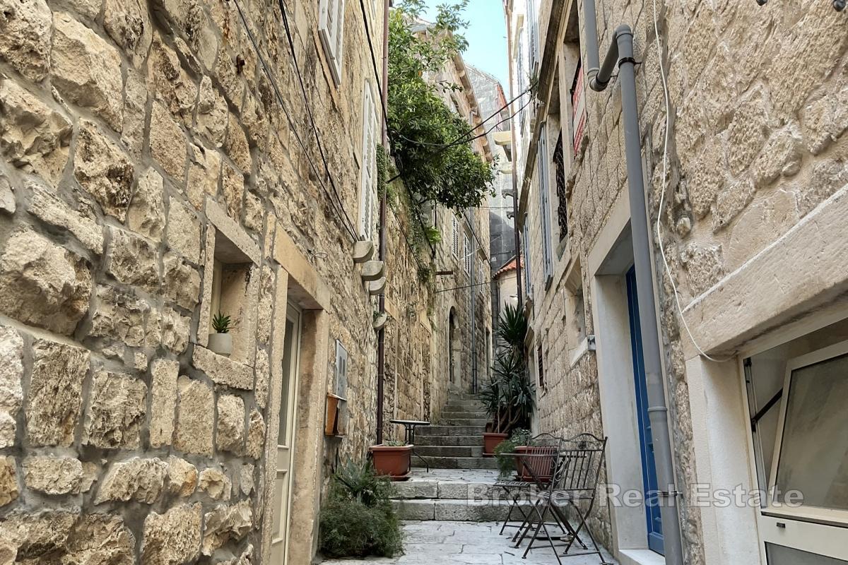 Oszałamiający kamienny wąż na wyspie Korčula