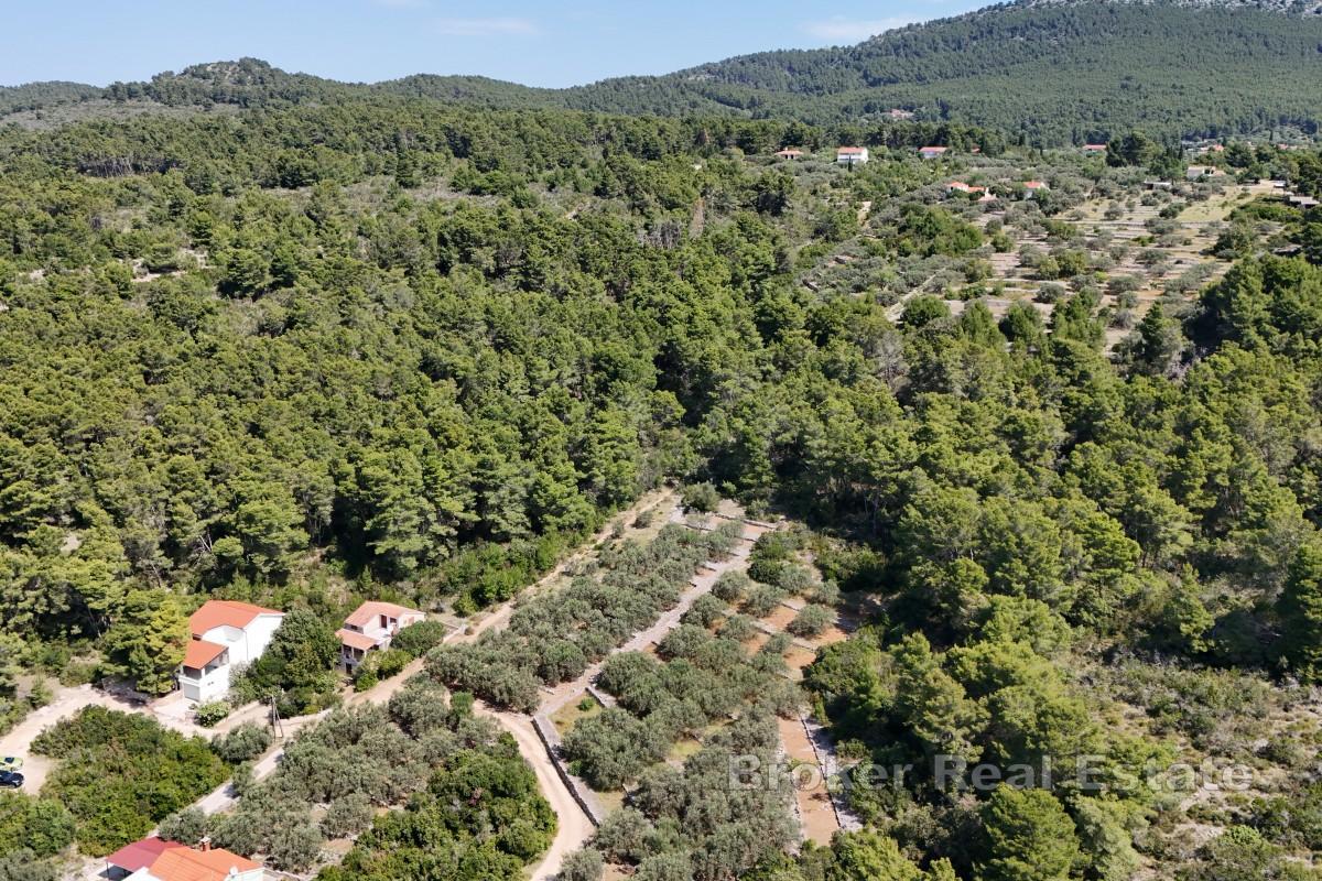 Terrain constructible en bord de mer