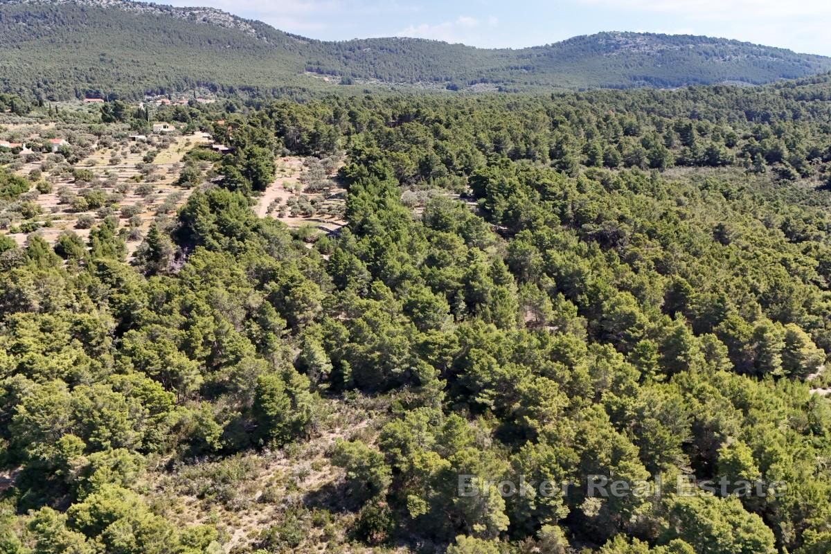 Terrain constructible en bord de mer