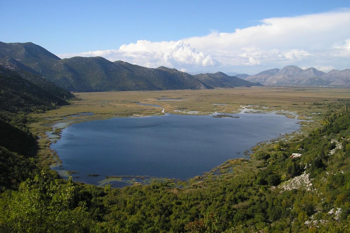 Dom z dużym potencjałem w spokojnej okolicy