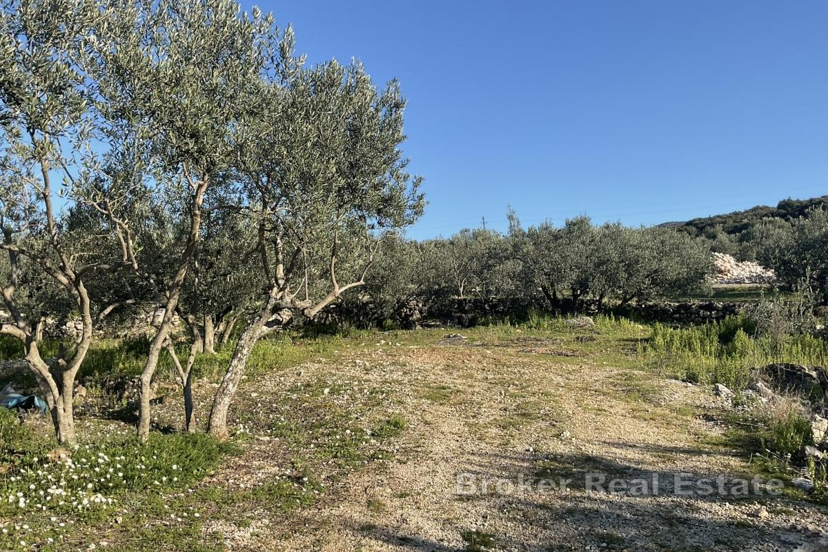 Baugrundstück mit Meerblick