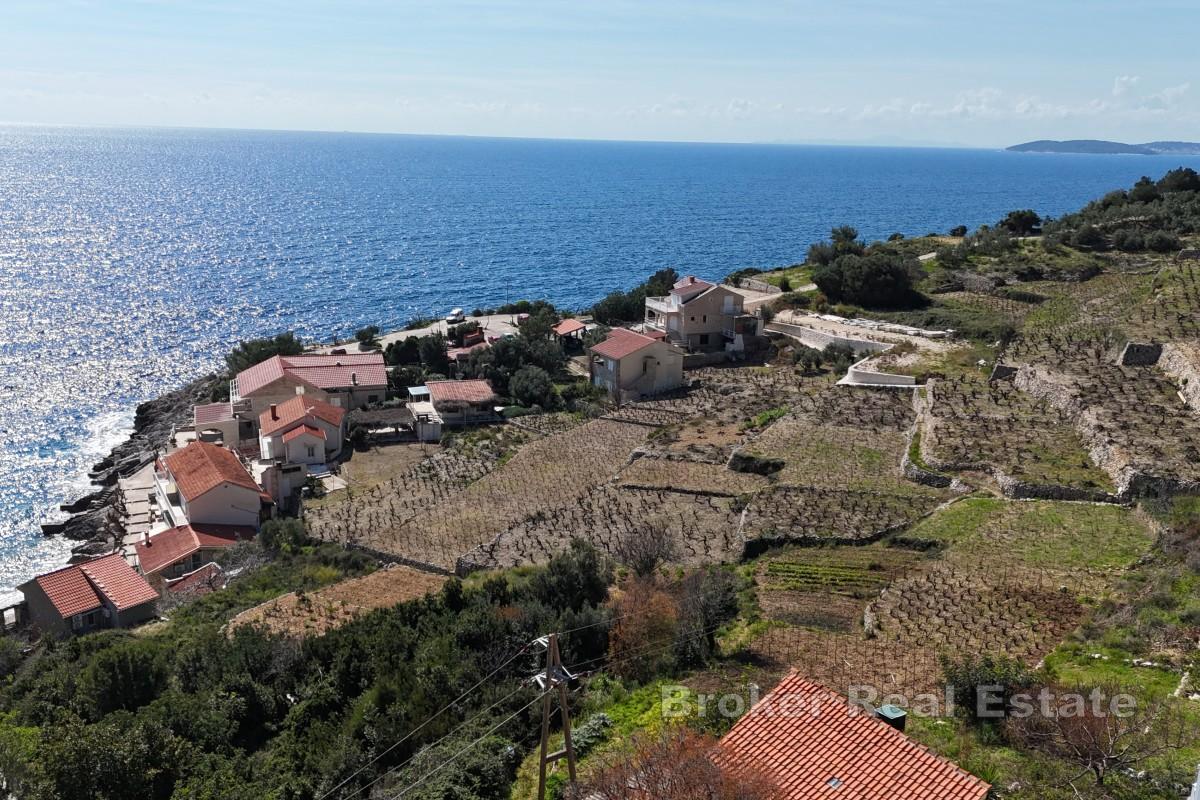 Maison en pierre et cave à vin