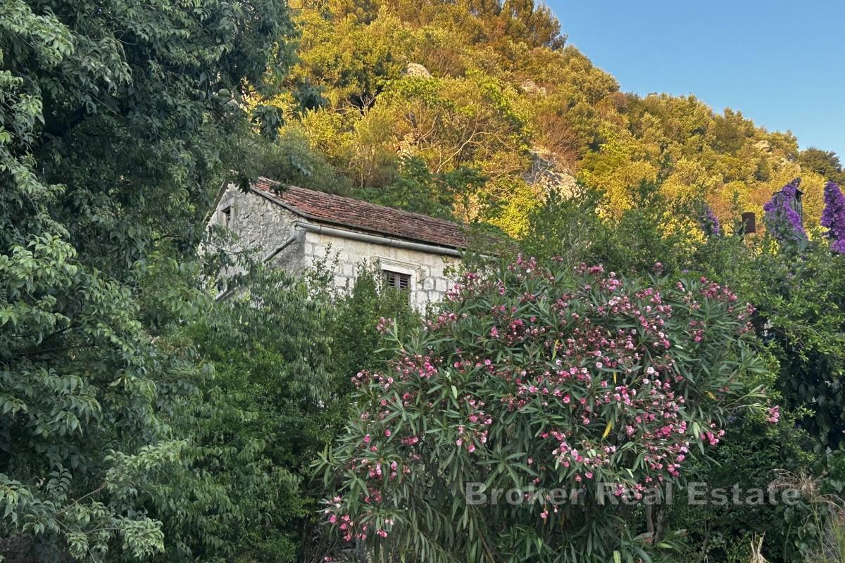 Autentyczny kamienny bliźniak do remontu