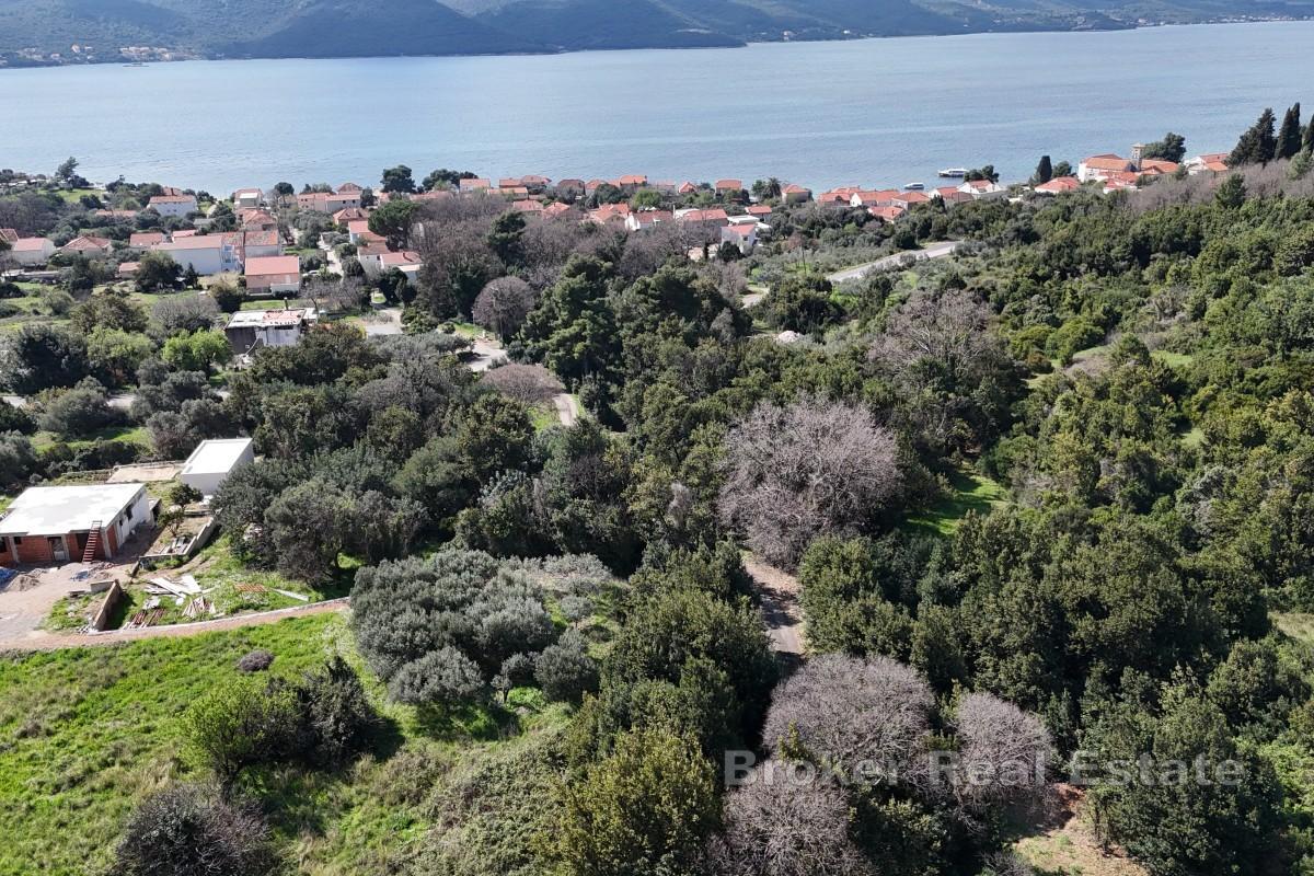 Autentyczny kamienny bliźniak do remontu