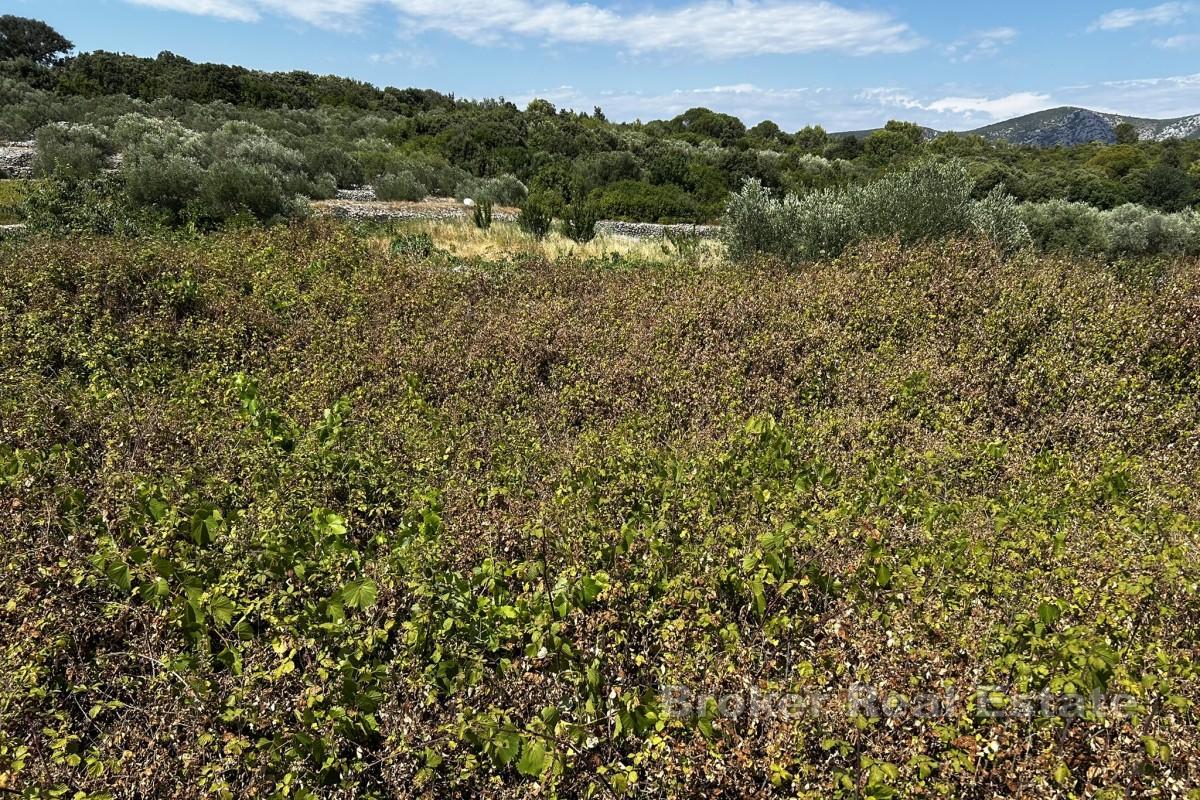 Działka budowlana z widokiem na morze