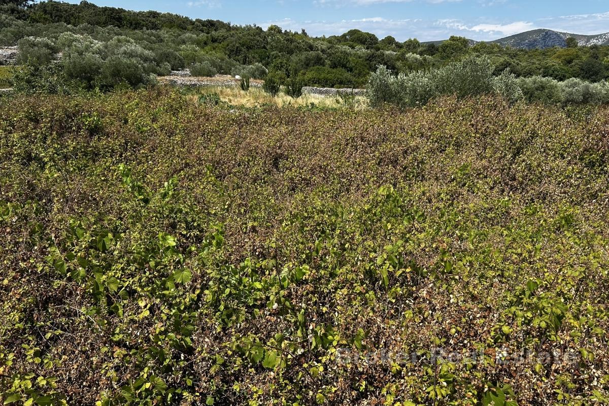 Działka budowlana z widokiem na morze
