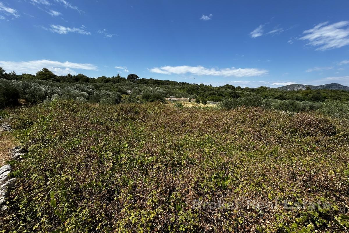 Działka budowlana z widokiem na morze