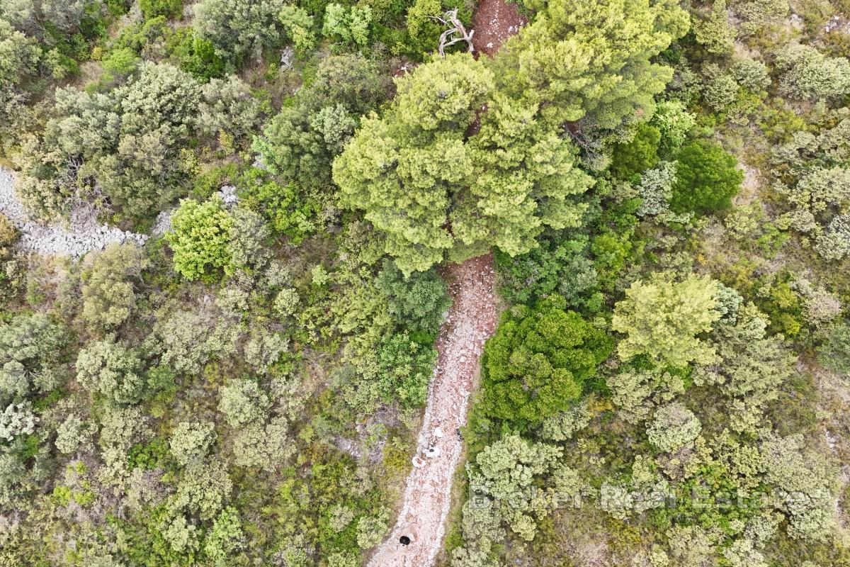 Działka budowlana z widokiem na morze