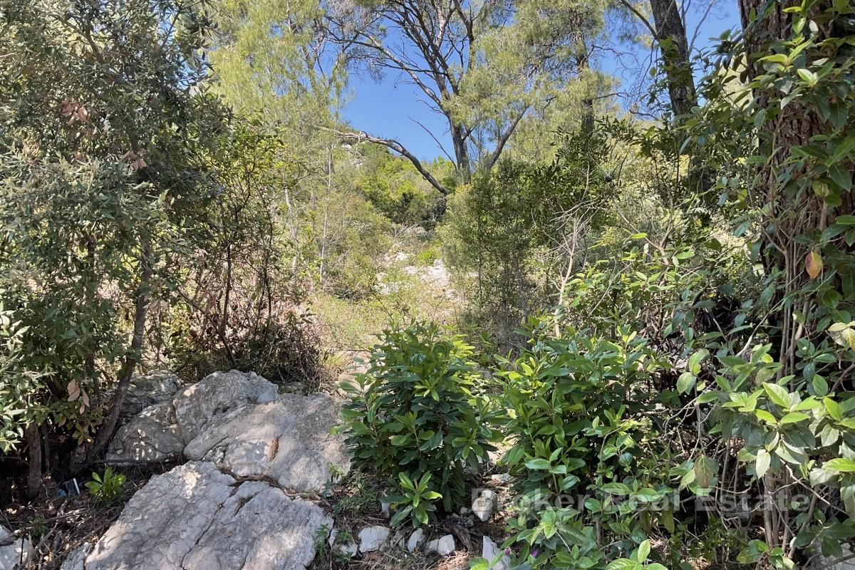 Byggetomt med havutsikt