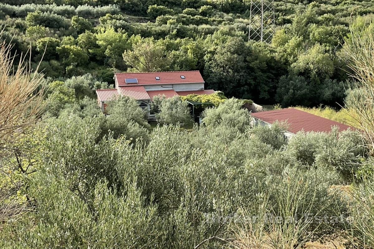 Maison dalmate en pierre dans un environnement paisible