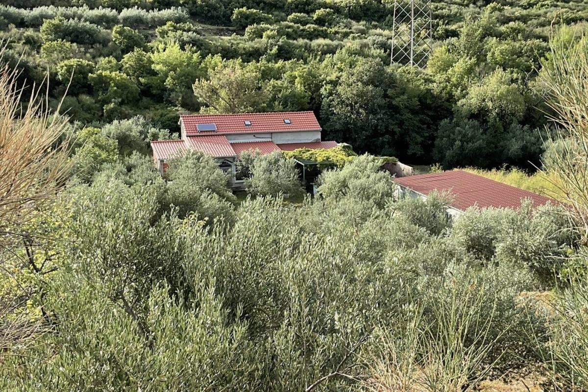 Maison dalmate en pierre dans un environnement paisible