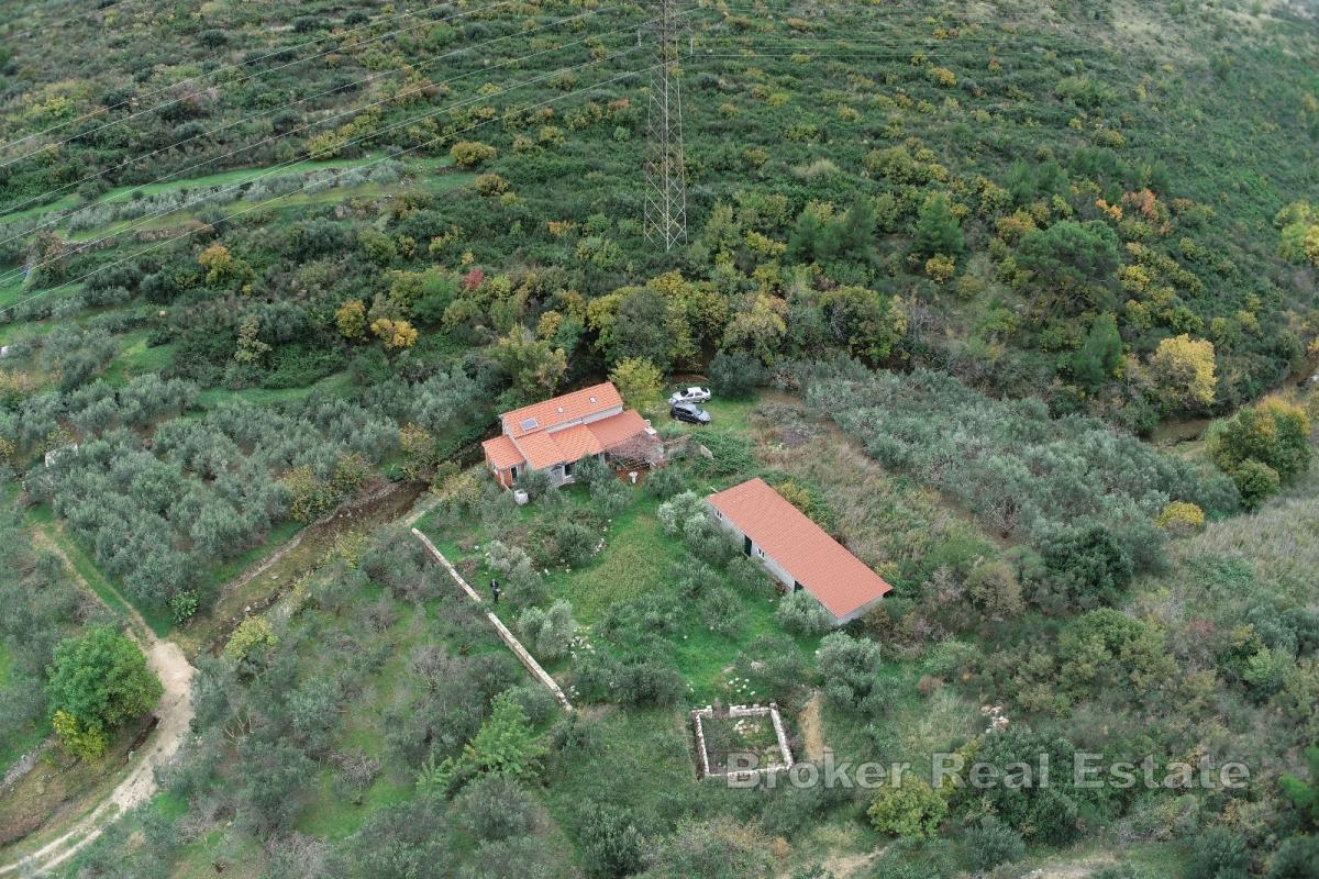 Maison dalmate en pierre dans un environnement paisible
