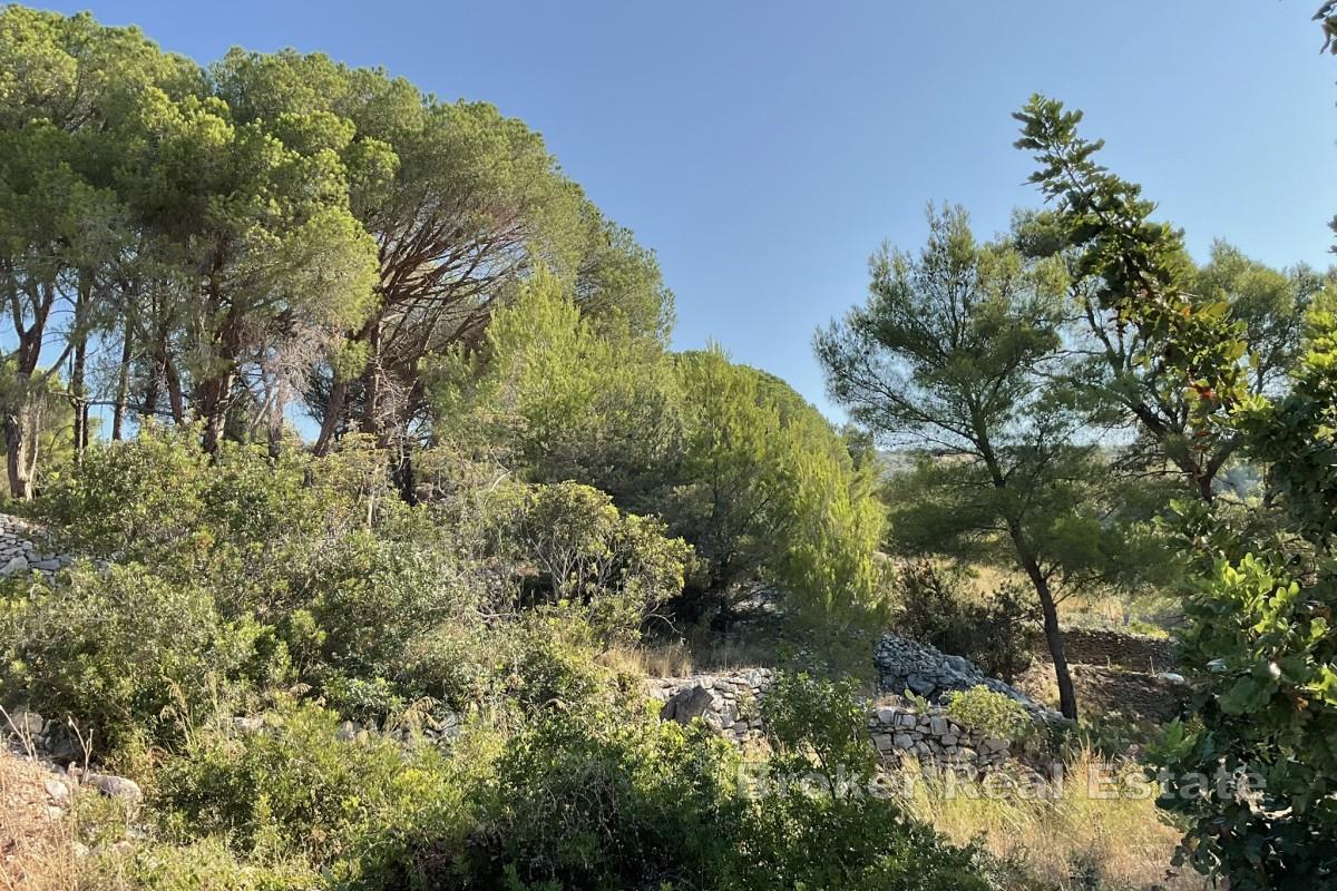 Atrakcyjna działka z widokiem na morze