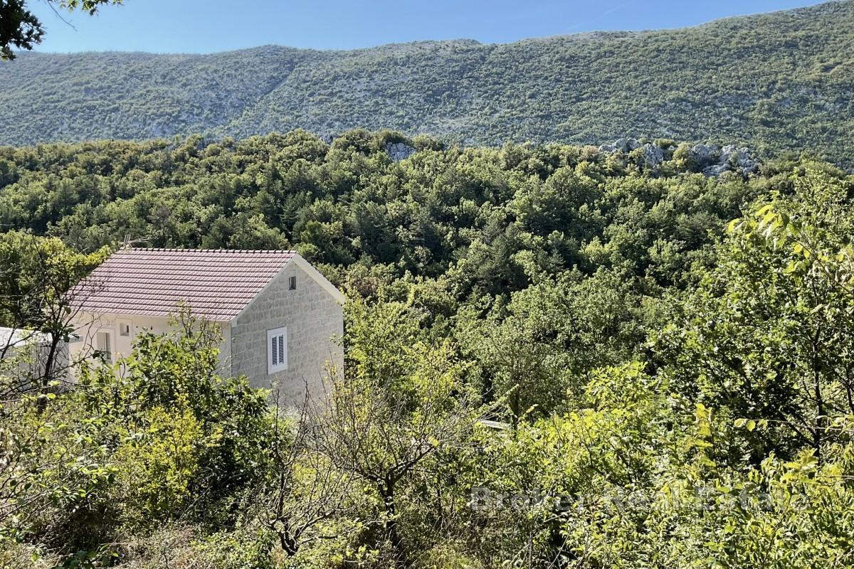 Byggetomt i det dalmatiske innlandet