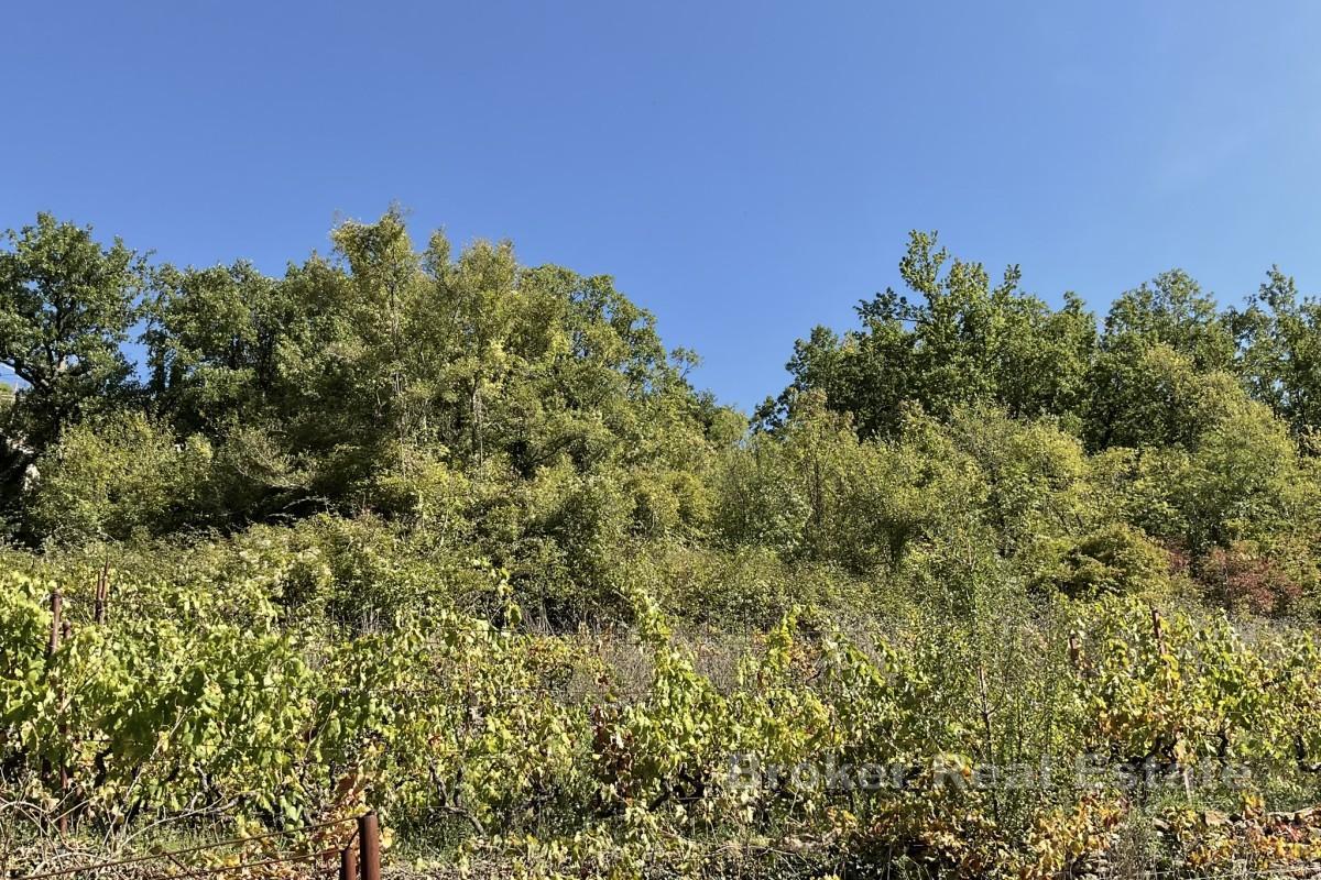 Участок под застройку в глубинке Далмации